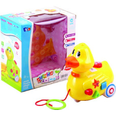 PATO PILAS LUZ Y SONIDO CAJA