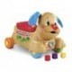 FISHER PRICE RÍE Y APRENDE PERRITO CAMINA CONMIGO