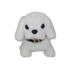 PERRO PET LOVELY EN GUACAL