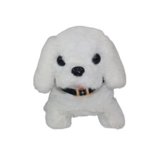 PERRO PET LOVELY EN GUACAL