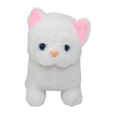 GATO PETS CUTE EN GUACAL
