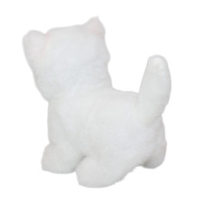 GATO PETS CUTE EN GUACAL