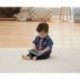 FISHER PRICE RÍE Y APRENDE TABLET DE APRENDIZAJE CRECE CONMIGO AZUL