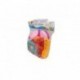 SET MICROONDAS BOLSA