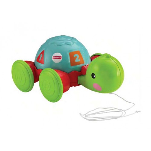 F-P TORTUGA DE APRENDIZAJE