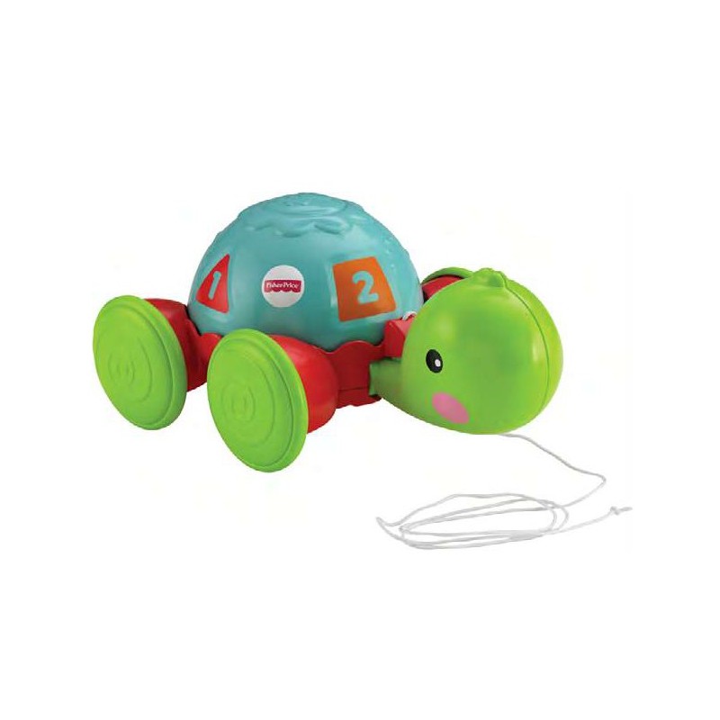 F-P TORTUGA DE APRENDIZAJE