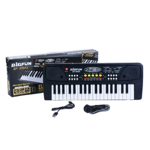ORGANETA BIGFUN PEQUEÑA CAJA