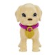 Barbie Set de Juego Adopta un Perrito Latina Mattel